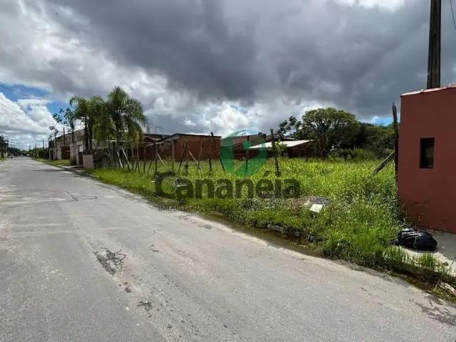 Terreno / Lote para Venda em Cananéia/SP Vila Nossa Senhora dos Navegantes
