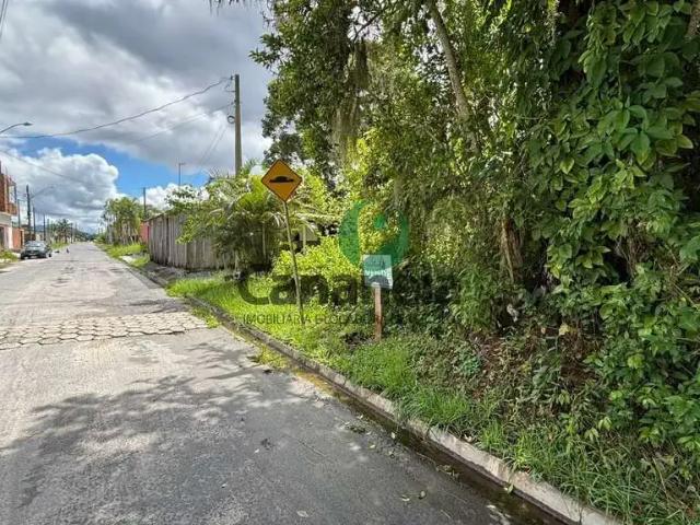 Terreno / Lote para Venda em Cananéia/SP Vila Nossa Senhora dos Navegantes