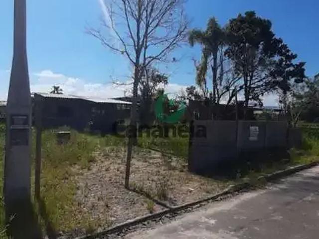 Terreno / Lote para Venda em Cananéia/SP Vila Nossa Senhora dos Navegantes