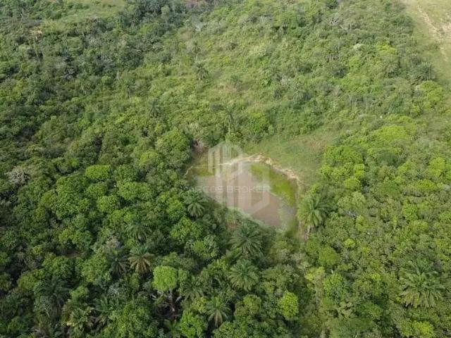 Terreno / Lote para Venda em Candeias/BA Caroba