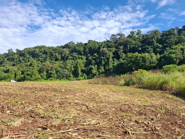 Terreno / Lote para Venda em Candói/PR Zona Rural