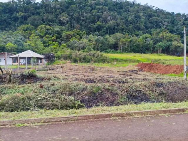 Terreno / Lote para Venda em Candói/PR Alagado