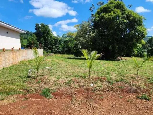Terreno / Lote para Venda em Candói/PR Alagado