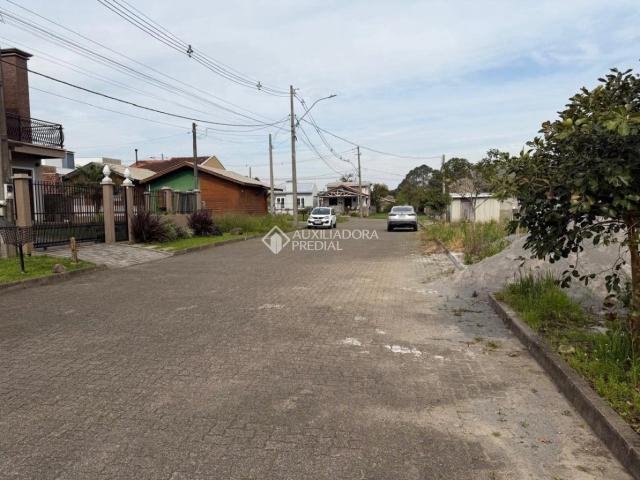 Terreno / Lote para Venda em Canela/RS Vila Dante