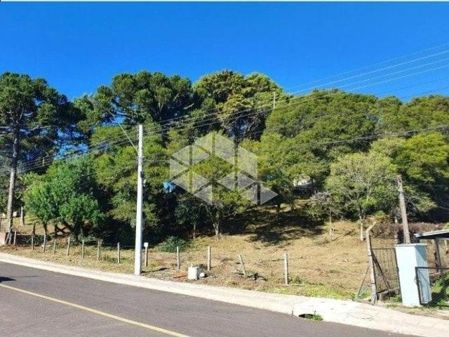 Terreno / Lote para Venda em Canela/RS Vila Raymundo