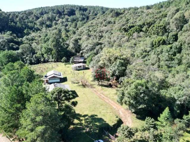 Terreno / Lote para Venda em Canela/RS Vila Suica