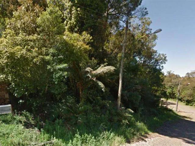 Terreno / Lote para Venda em Canela/RS Alpes Verdes