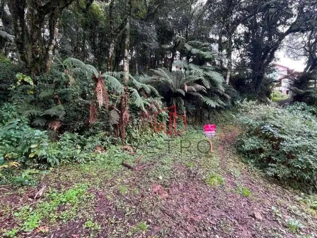 Terreno / Lote para Venda em Canela/RS Alpes Verdes