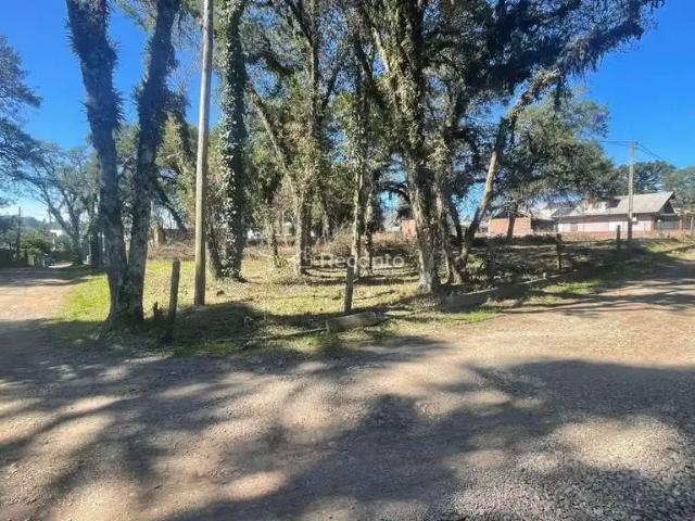 Terreno / Lote para Venda em Canela/RS Bom Jesus