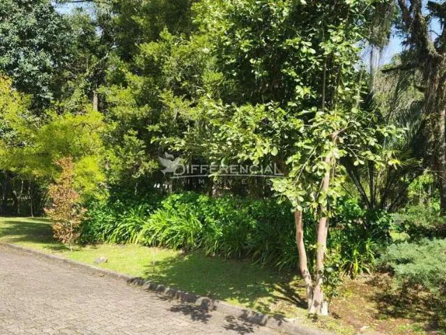 Terreno / Lote para Venda em Canela/RS Bom Jesus
