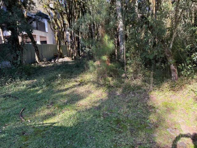 Terreno / Lote para Venda em Canela/RS Bosque Sinoserra
