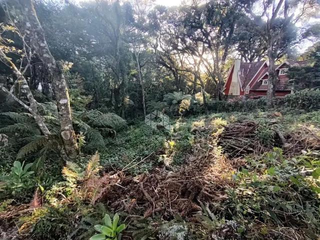 Terreno / Lote para Venda em Canela/RS Bosque Sinoserra
