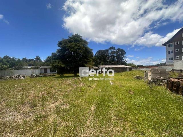 Terreno / Lote para Venda em Canela/RS Canelinha