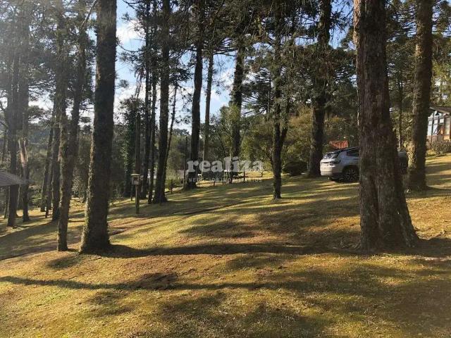 Terreno / Lote para Venda em Canela/RS Caracol 1 Quartos