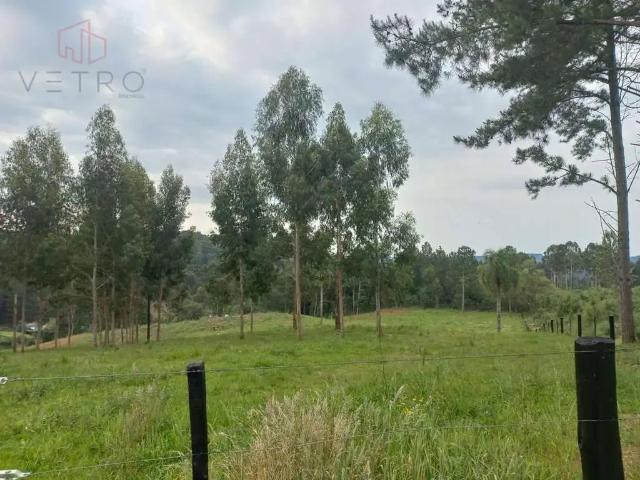 Terreno / Lote para Venda em Canela/RS Caracol