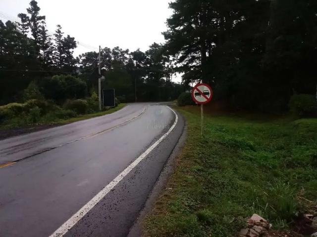Terreno / Lote para Venda em Canela/RS Caracol