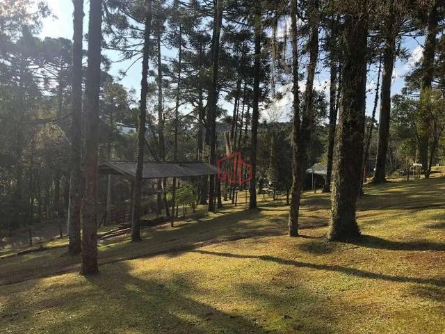 Terreno / Lote para Venda em Canela/RS Caracol