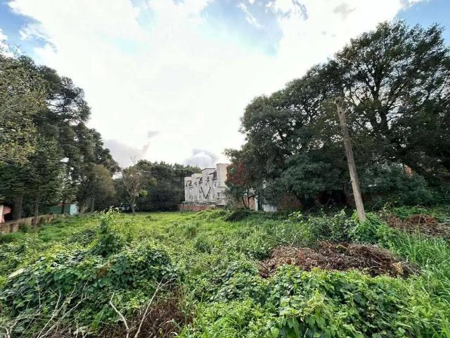 Terreno / Lote para Venda em Canela/RS Centro