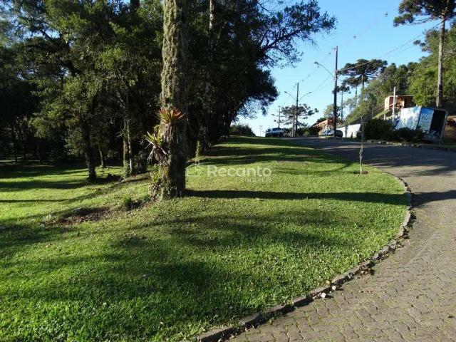 Terreno / Lote para Venda em Canela/RS Centro