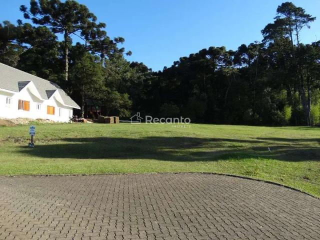 Terreno / Lote para Venda em Canela/RS Centro