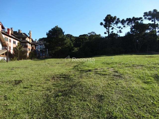 Terreno / Lote para Venda em Canela/RS Centro