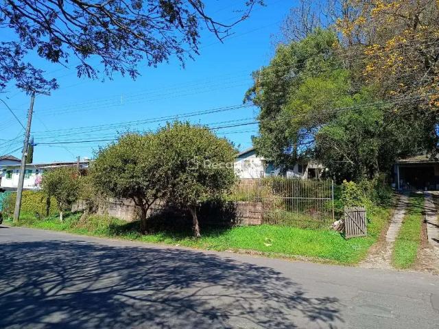 Terreno / Lote para Venda em Canela/RS Centro