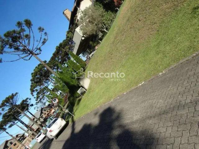 Terreno / Lote para Venda em Canela/RS Centro
