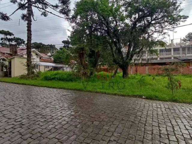 Terreno / Lote para Venda em Canela/RS Centro