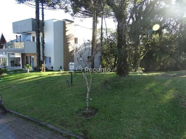Terreno / Lote para Venda em Canela/RS Centro