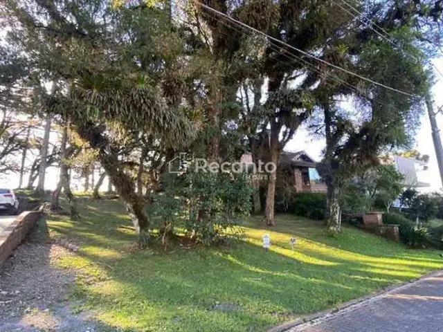 Terreno / Lote para Venda em Canela/RS Centro