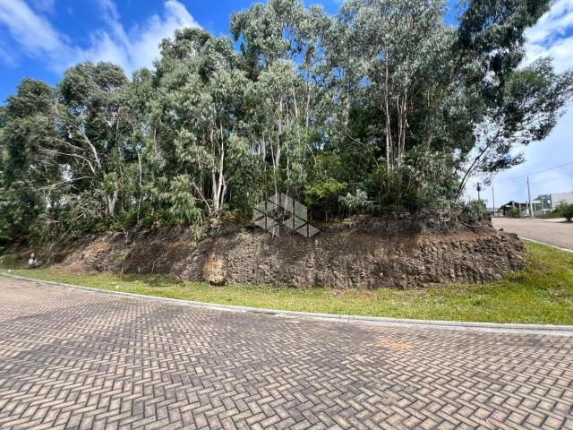 Terreno / Lote para Venda em Canela/RS Centro