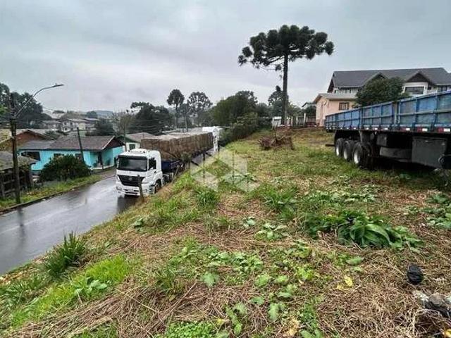 Terreno / Lote para Venda em Canela/RS Centro