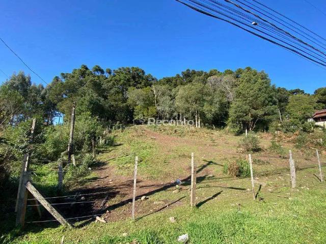 Terreno / Lote para Venda em Canela/RS Centro