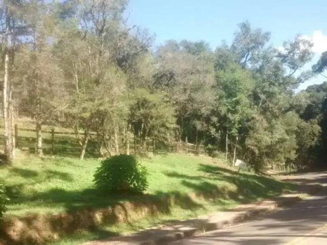 Terreno / Lote para Venda em Canela/RS Centro