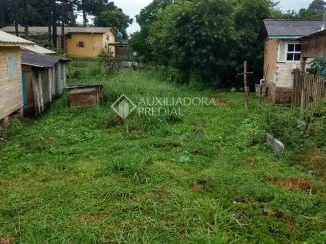Terreno / Lote para Venda em Canela/RS Centro