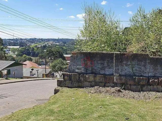 Terreno / Lote para Venda em Canela/RS Eugênio Ferreira