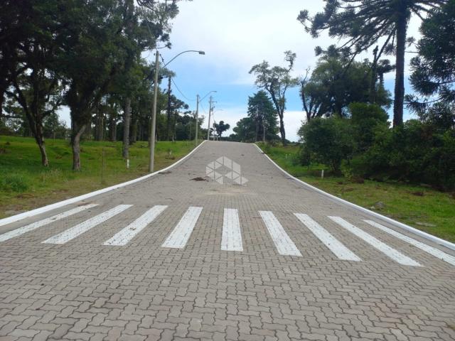 Terreno / Lote para Venda em Canela/RS Jardim Mariana