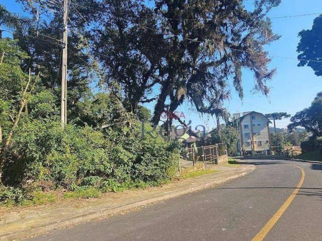 Terreno / Lote para Venda em Canela/RS Leodoro de Azevedo