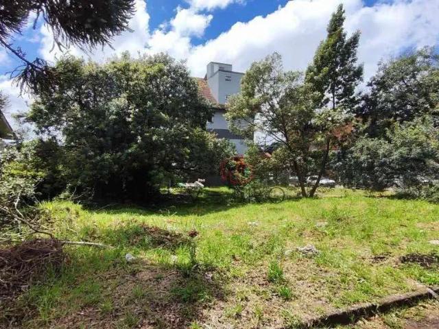 Terreno / Lote para Venda em Canela/RS Leodoro de Azevedo