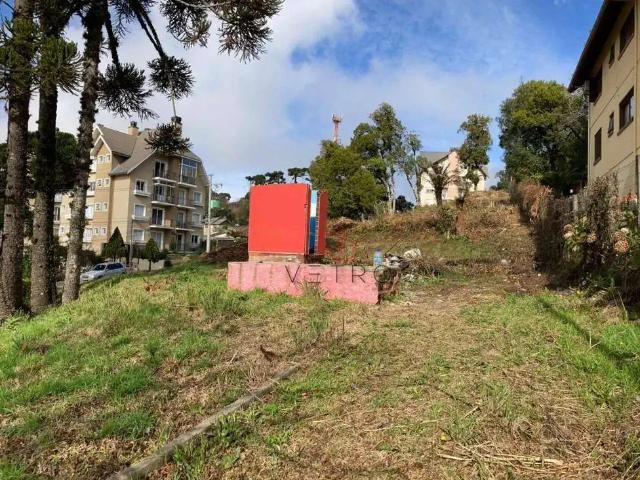 Terreno / Lote para Venda em Canela/RS Maggi