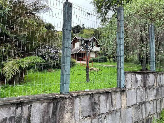 Terreno / Lote para Venda em Canela/RS Maggi