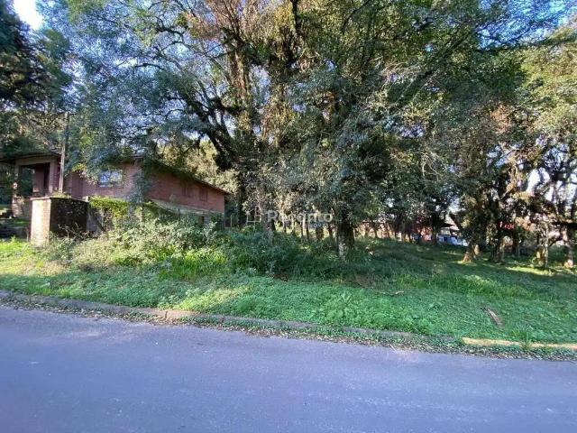 Terreno / Lote para Venda em Canela/RS Palace Hotel