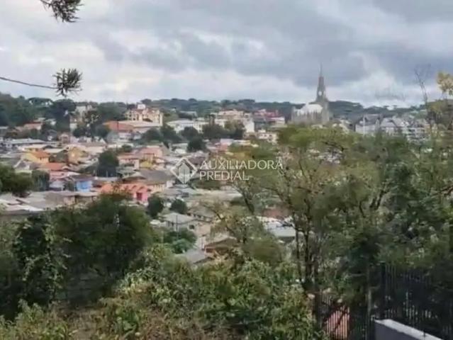 Terreno / Lote para Venda em Canela/RS Palace Hotel