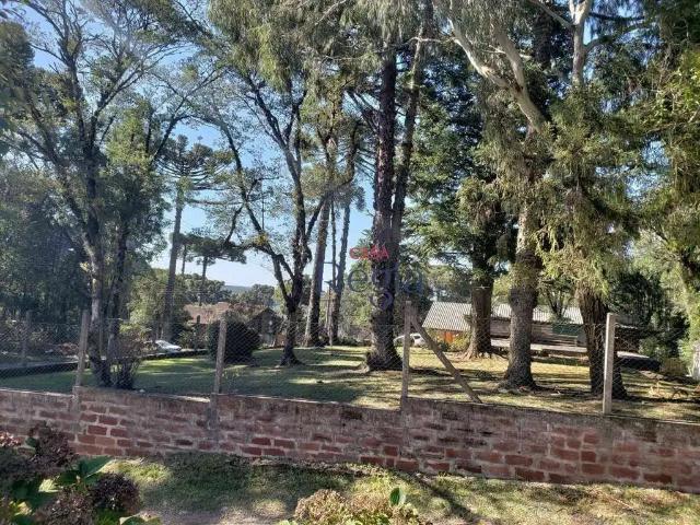 Terreno / Lote para Venda em Canela/RS Palace Hotel
