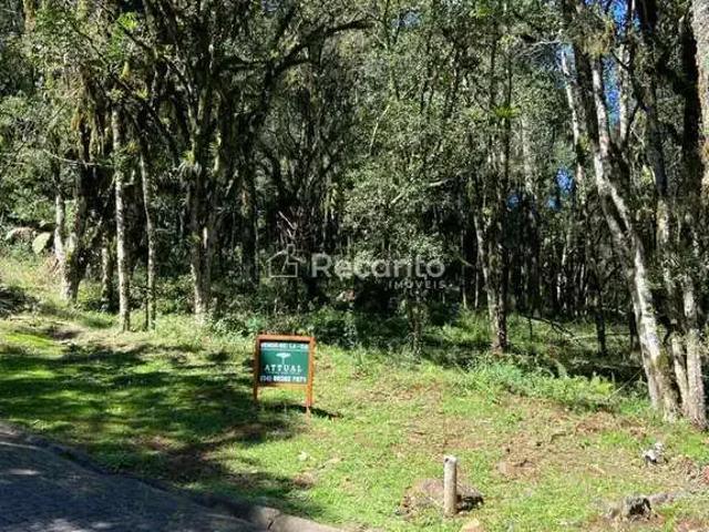 Terreno / Lote para Venda em Canela/RS Parque Pinheiro Grosso