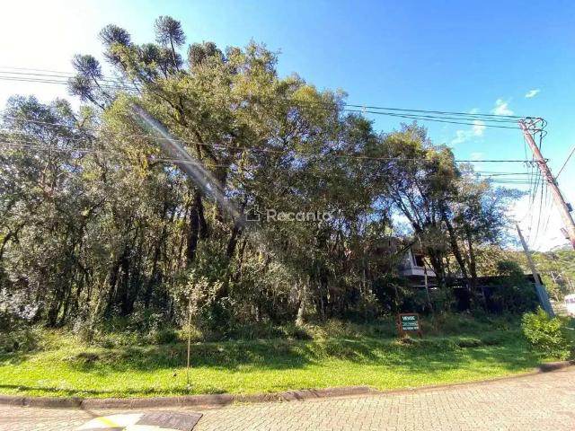 Terreno / Lote para Venda em Canela/RS Parque Pinheiro Grosso