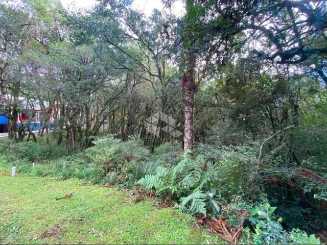 Terreno / Lote para Venda em Canela/RS Pinheiro Grosso