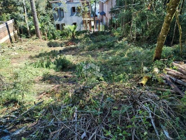 Terreno / Lote para Venda em Canela/RS Quinta da Serra