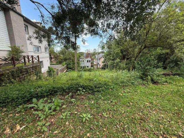 Terreno / Lote para Venda em Canela/RS Quinta da Serra
