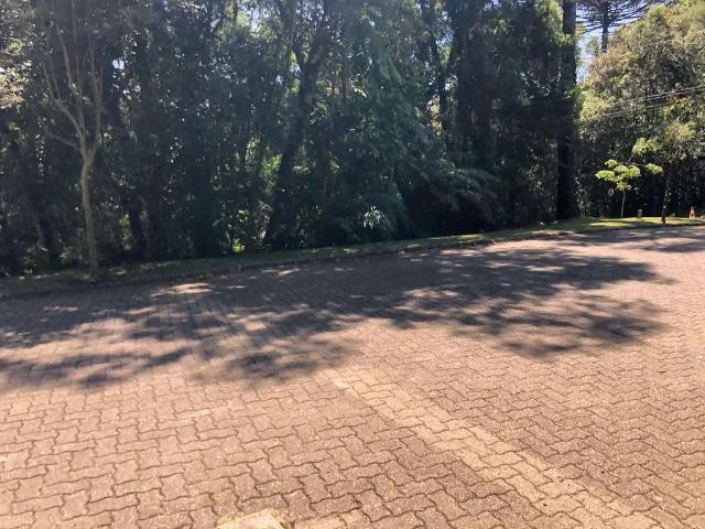 Terreno / Lote para Venda em Canela/RS Reserva da Serra